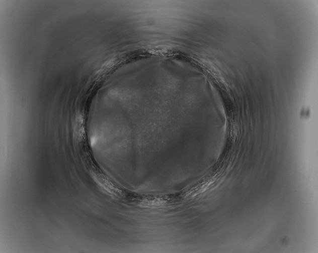 X0000099991106200806131428