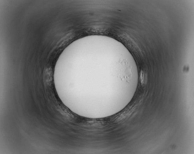 X0000099991107200806131428