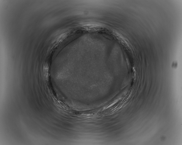 X0000099991108200806131428