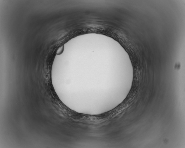 X0000099991109200806131428