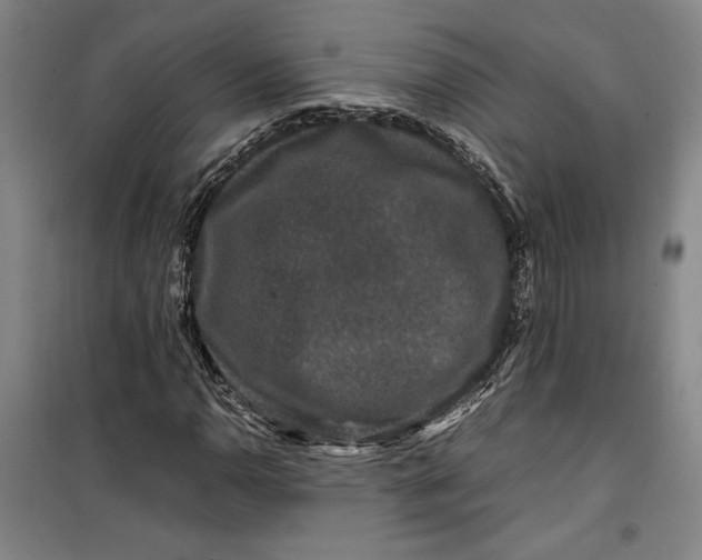 X0000099991110200806131428