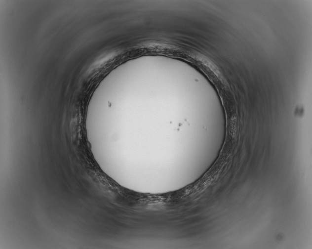 X0000099991111200806131428