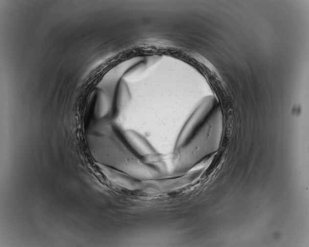 X0000099991112200806131428