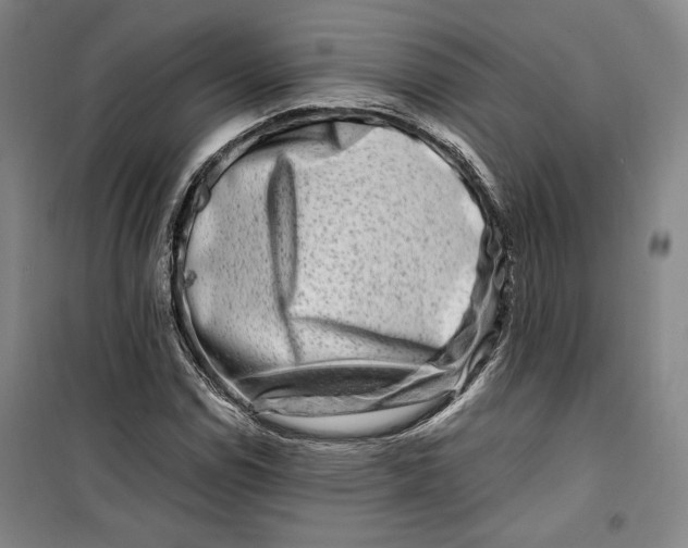 X0000099991114200806131428