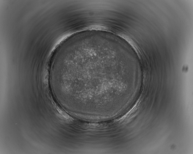 X0000099991115200806131428