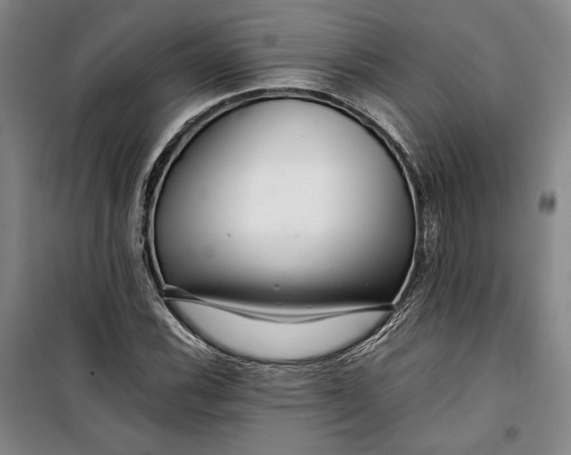 X0000099991116200806131428