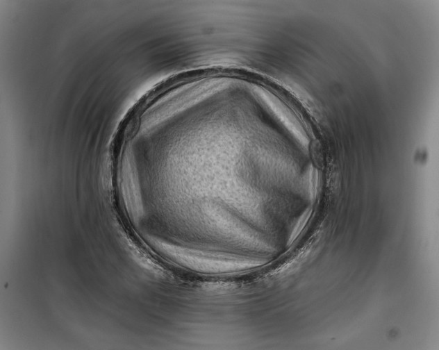 X0000099991118200806131428