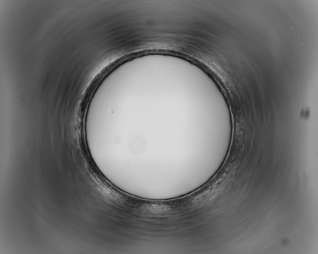 X0000099991119200806131428