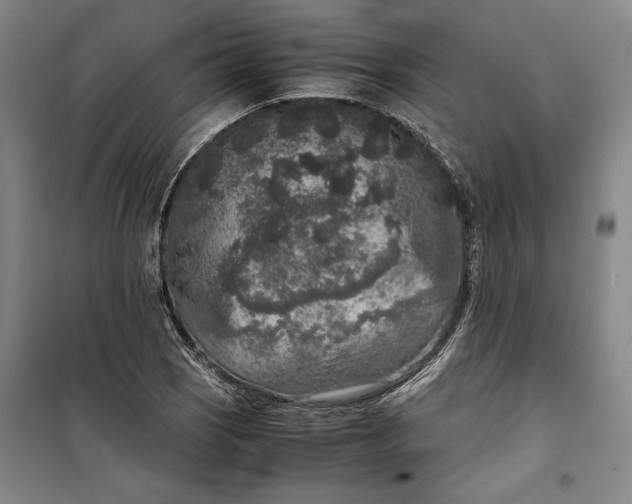 X0000099991121200806131428