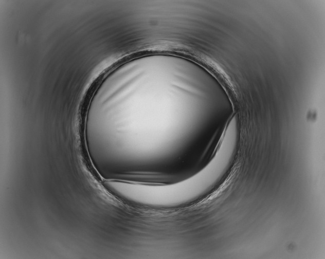 X0000099991122200806131428