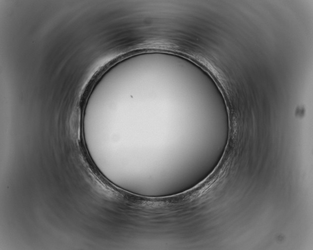 X0000099991123200806131428