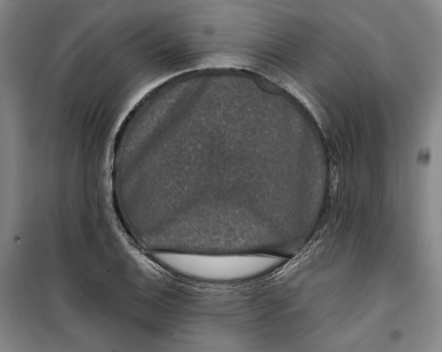 X0000099991124200806131428