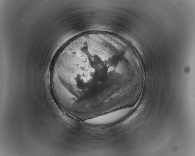 X0000099991125200806131428