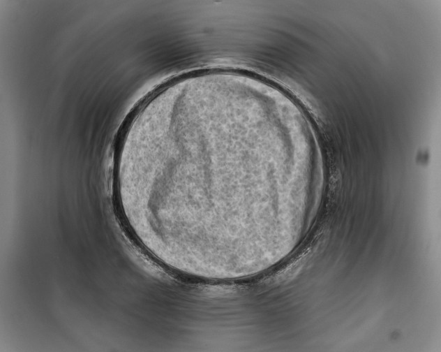 X0000099991126200806131428