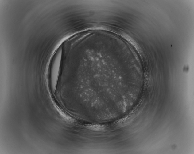 X0000099991127200806131428