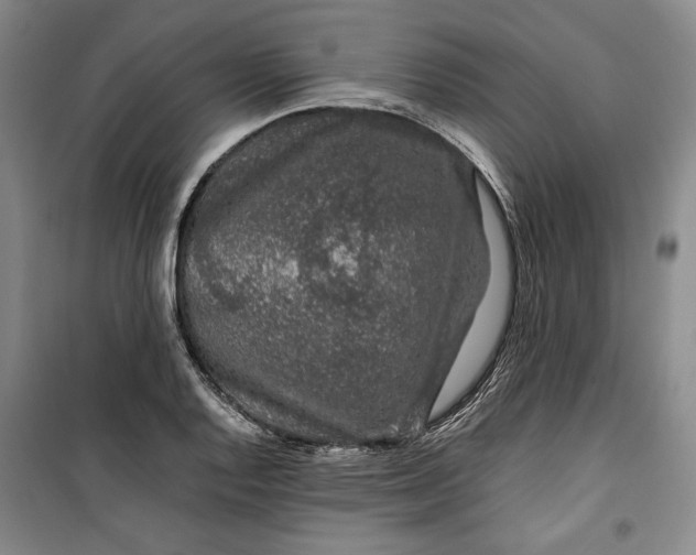 X0000099991128200806131428