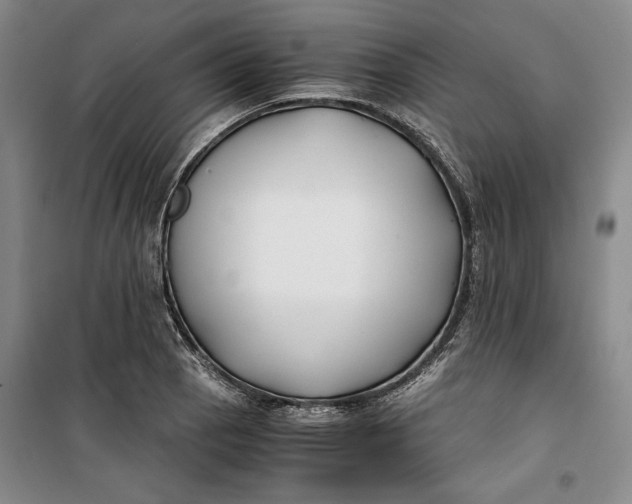 X0000099991129200806131428