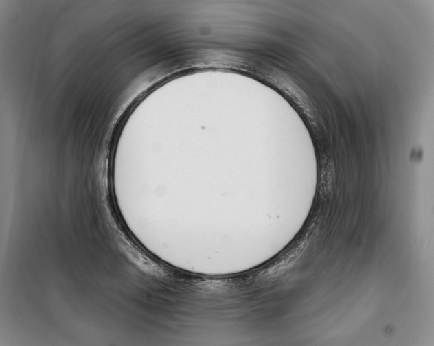 X0000099991130200806131428