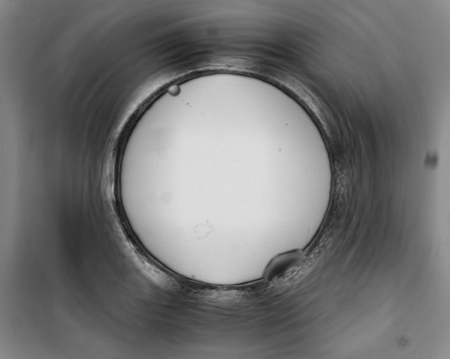 X0000099991131200806131428