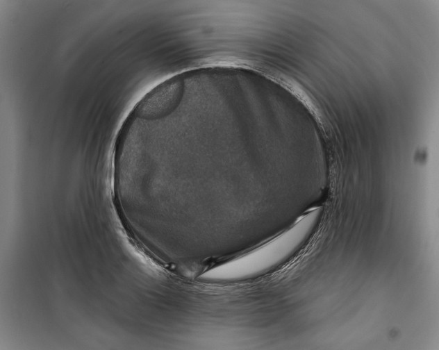 X0000099991132200806131428