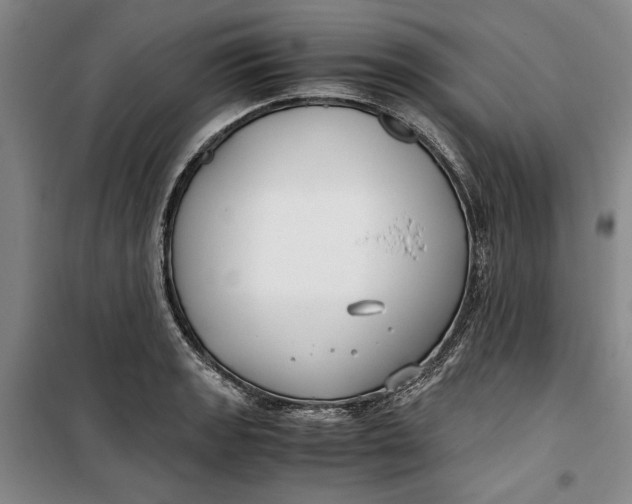 X0000099991133200806131429