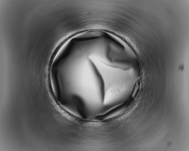 X0000099991134200806131429