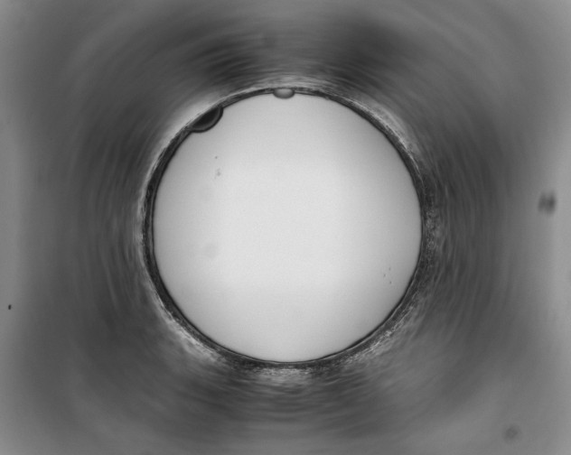 X0000099991135200806131429