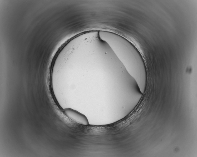 X0000099991136200806131429