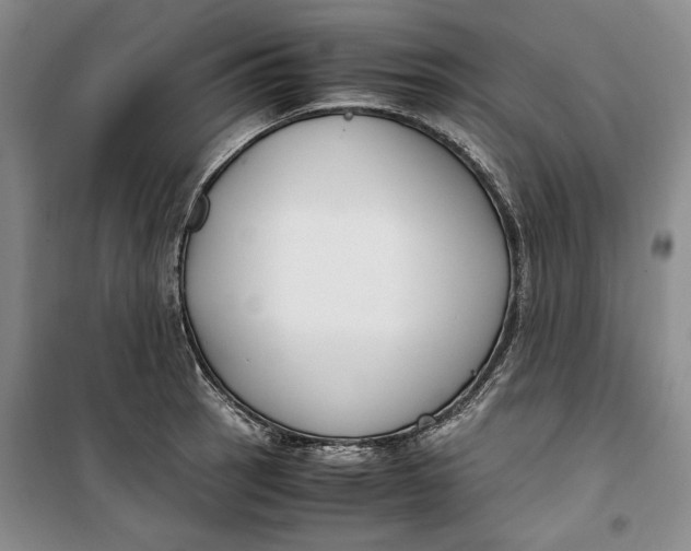 X0000099991137200806131429