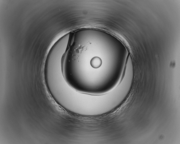 X0000099991138200806131429