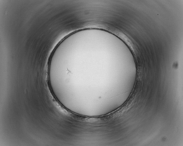 X0000099991140200806131429