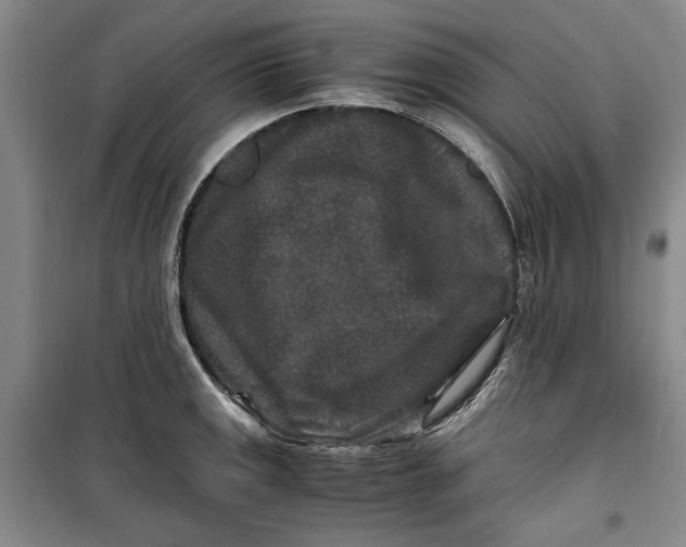 X0000099991141200806131429