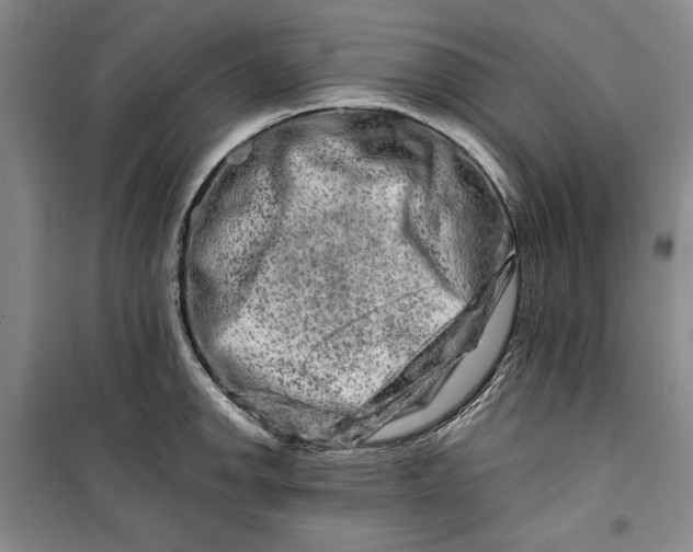 X0000099991142200806131429