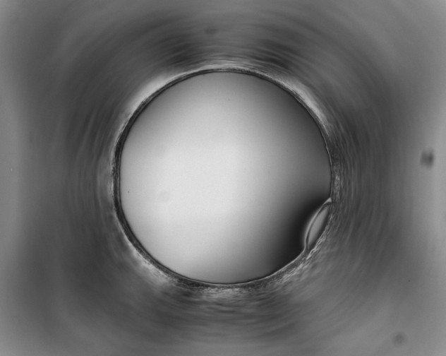 X0000099991143200806131429