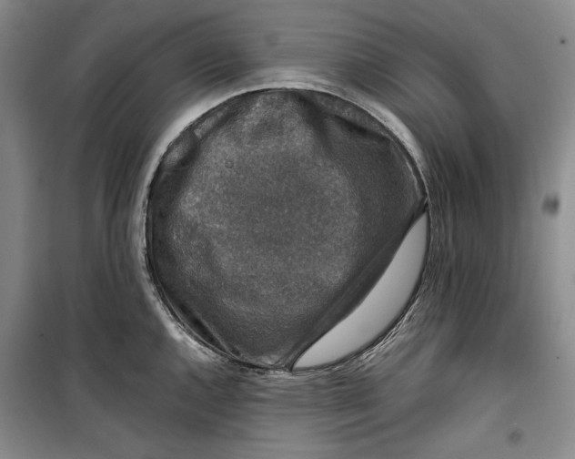 X0000099991144200806131429