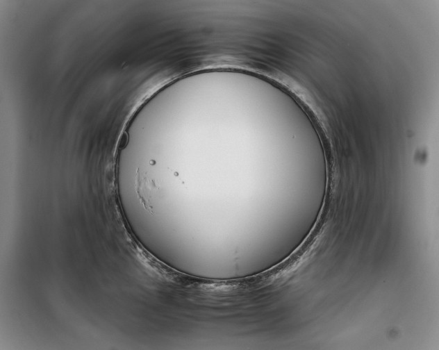 X0000099991145200806131429