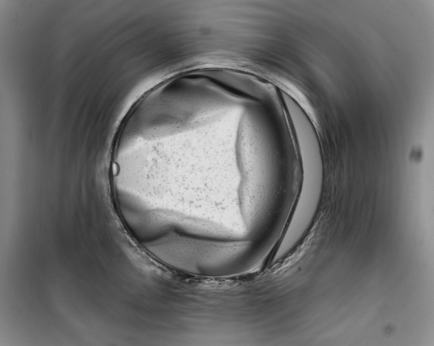 X0000099991146200806131429