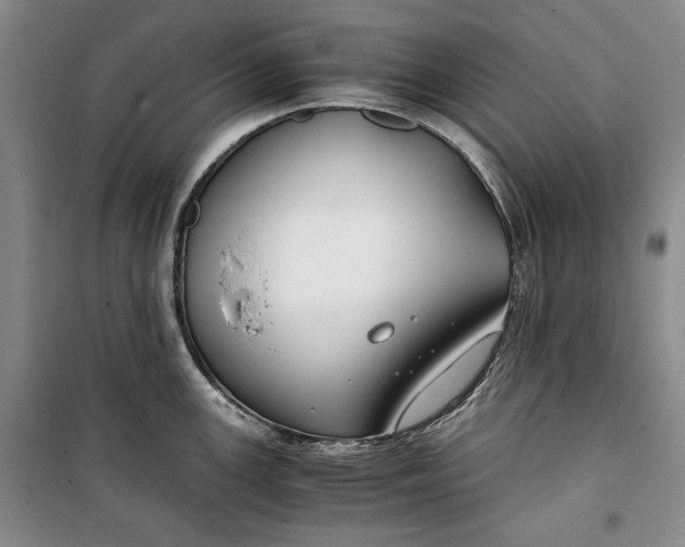 X0000099991147200806131429