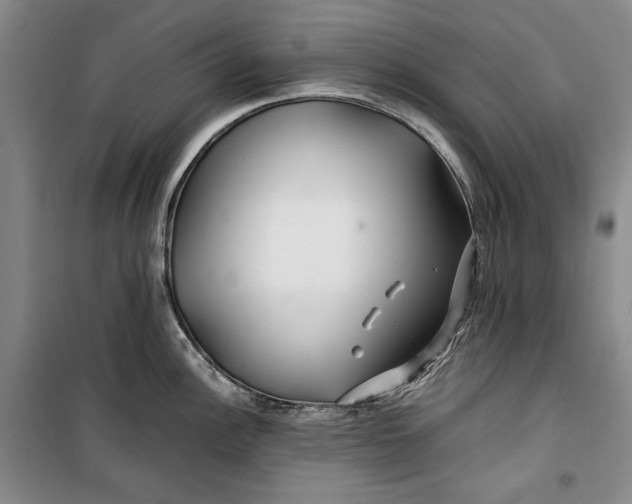 X0000099991148200806131429