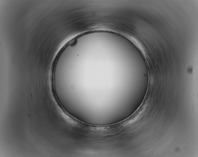 X0000099991149200806131429