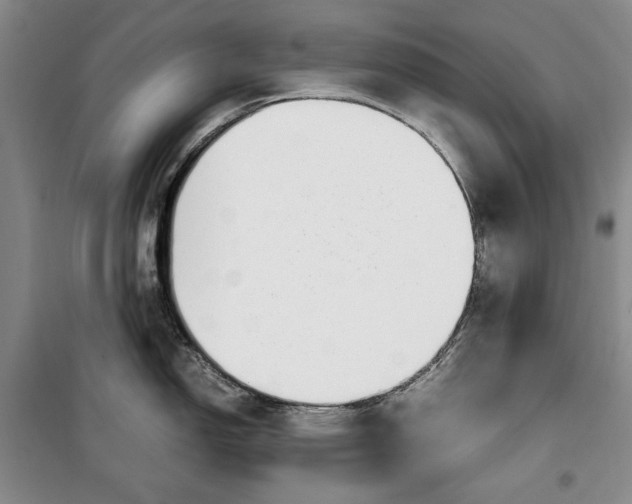 X0000099991150200806131429