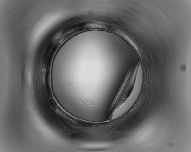 X0000099991151200806131429