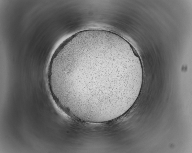 X0000099991152200806131429