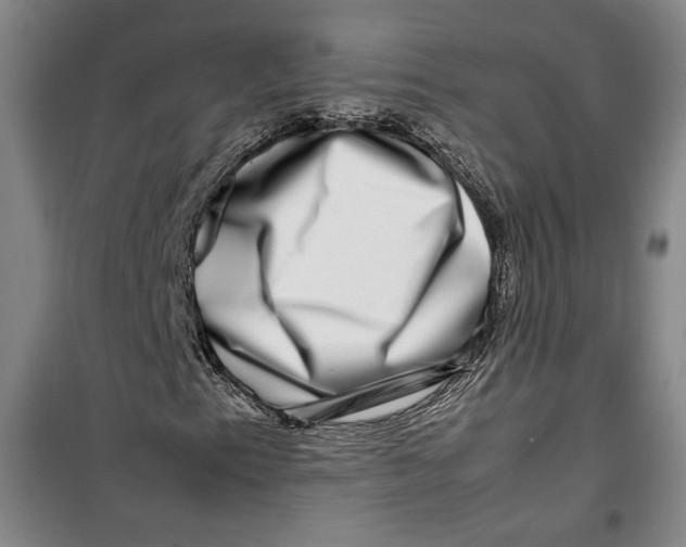 X0000099991153200806131428