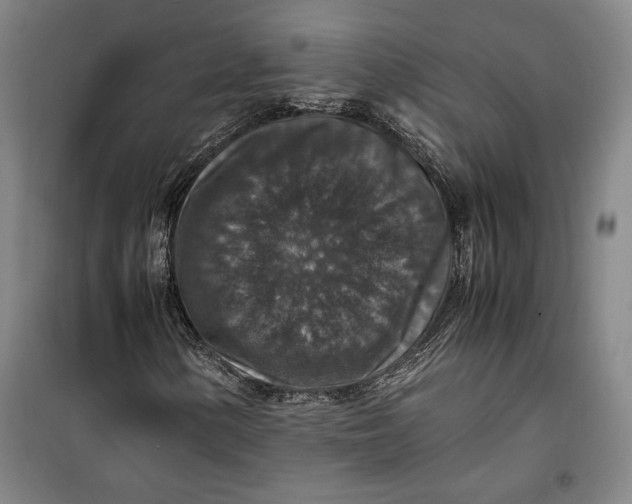 X0000099991154200806131428