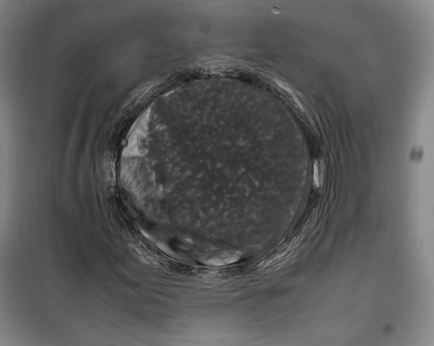 X0000099991155200806131428