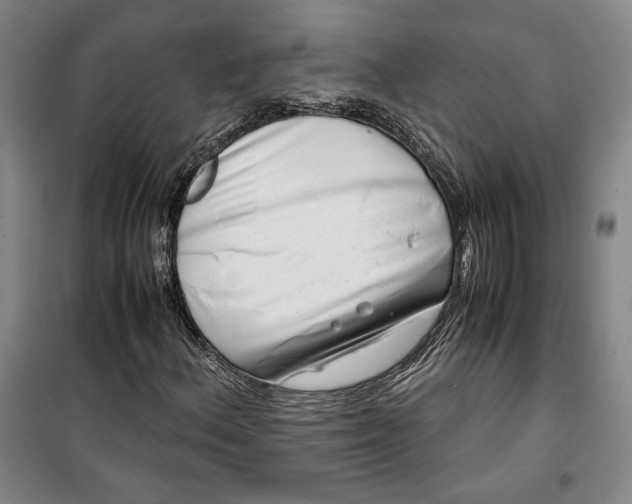 X0000099991156200806131428