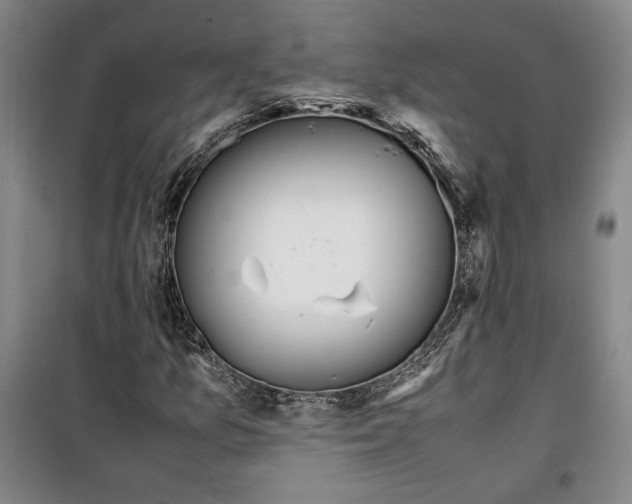 X0000099991157200806131428