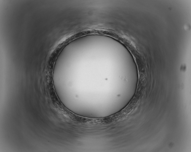 X0000099991159200806131428