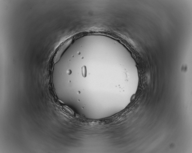 X0000099991160200806131428